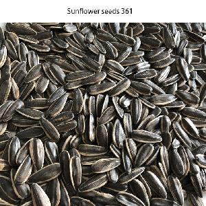 2019 high quality new crop pink price of  buyer sunflower seeds
