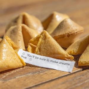 Cute and delicious hot sale  custom   fortune   cookie 