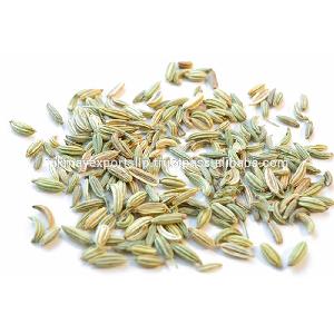 NEW CROP FENNEL SEEDS 99% SINGAPORE QUALITY