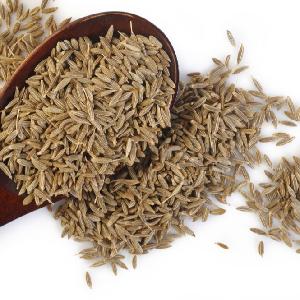 PRIEMUM  QUALITY   CUMIN   SEEDS  (NEW CROP ) GUJRAT ORIGIN 99% PURE