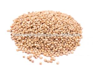 NEW CROP SORGHUM SEEDS ORIGIN INDIA NIK-MAY EXPORTS`