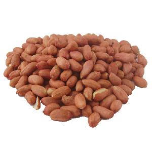 TJ 60/70 PEANUT ORIGIN INDIA FROM NIK MAY EXPORTS LLP
