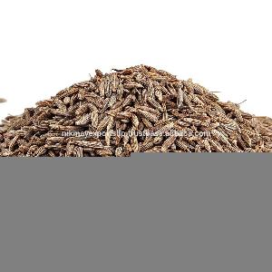 CUMIN SEEDS QUALITY SINGAPORE 98% ORIGIN INDIA FROM NIK-MAY EXPORTS LLP