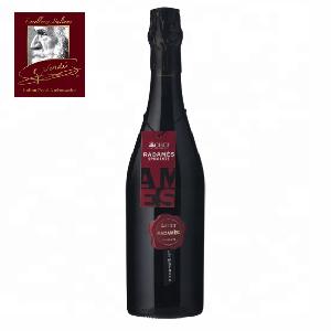 750 ml Lambrusco Radames Emilia IGT Giuseppe Verdi Red Wine Made in Italy