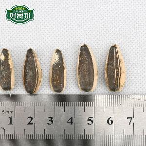 Wholesale Shelled Sunflower Seeds Confectionery Sunflower Seeds per ton price