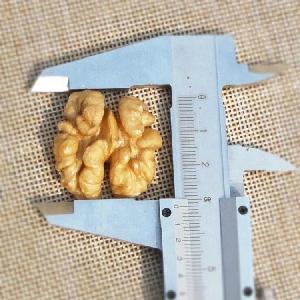 Raw walnut  kernels   export 