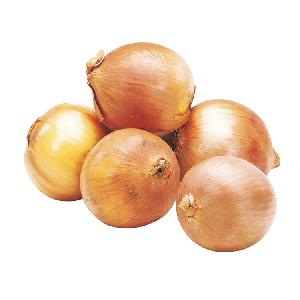 wholesale most favourable big onion yellow onions market onions prices
