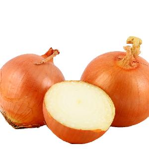 Hot selling yellow onions 25kg bags market price export
