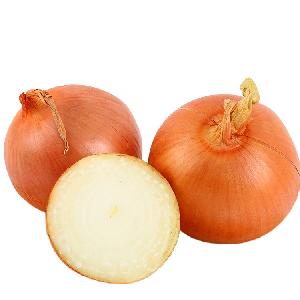 Selling small size fresh yellow onion with market price