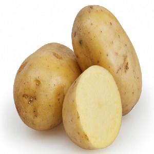 China fresh potatoes export wholesale at the best price