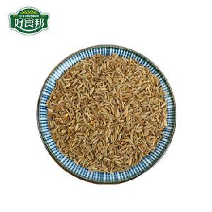 Price for cumin seeds wholesale herbs and spices export