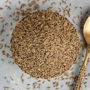 Chinese fenugreek fennel seeds export wholesale with best quality