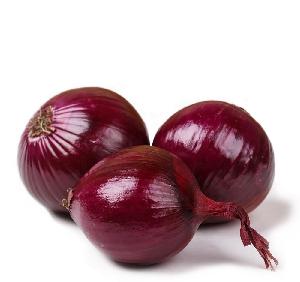 high quality China fresh red onion price