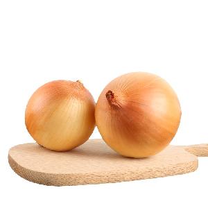 China Export Market Price Fresh Yellow Onion