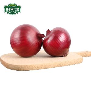 Wholesale Premium Grade New Crop Mesh 100% Natural Fresh Red Onion/onions