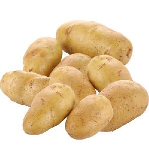 fresh yellow potatoes