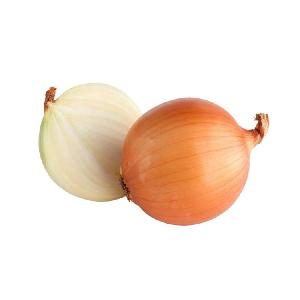China fresh yellow onion mesh bag selling