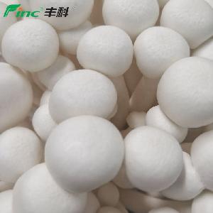 Asian Cultivated White Specialty Mushroom for Cooking Meat