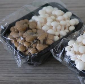 Fresh growing double kinds of Beech Mushrooms in one packing box sold in super market