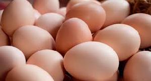 fresh white and brown chicken eggs