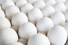 Fresh Quality Table white and brown chicken eggs