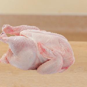 QUALITY HALAL FROZEN WHOLE CHICKEN AND PARTS / GIZZARDS / THIGHS / FEET / PAWS / DRUMST READY TO EXPORTICKS