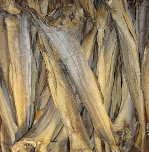 Dried Stockfish / Stockfish Cod From Norway by Spinel Company