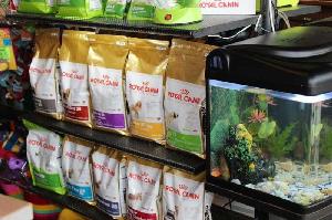 Quality Royal Canin Maxi Adult Dog Food for Large Dogs