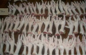 High Quality Frozen Processed Chicken Feet