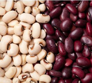 White and Red kidney Beans