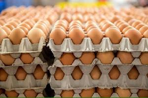 fresh brown chicken eggs