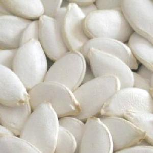 WHITE MELON SEEDS %