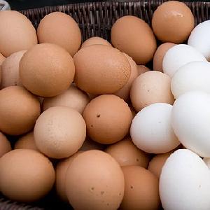 FRESH CHICKEN EGGS %