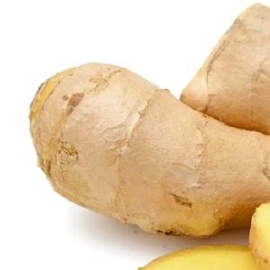  GINGER  FOR  SELL  %