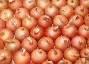 FRESH YELLOW ONION 2