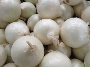FRESH WHITE ONION 2