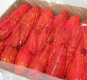 Frozen Lobsters