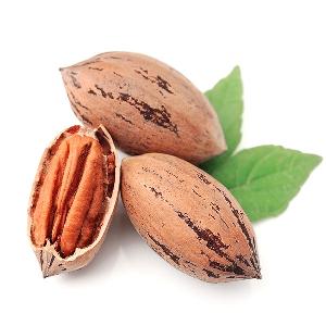top grade Pecanl Nuts high quality pecans