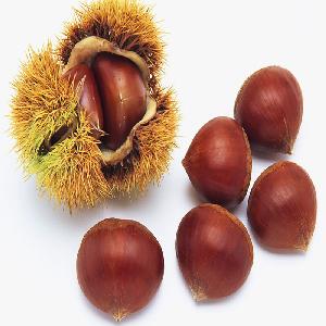 Producing area direct selling wholesale high quality fresh Chinese chestnut peelable chestnut kernel
