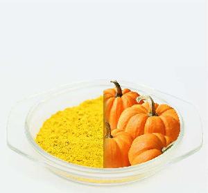 high quality pumpkin powder dried vegetables vegetable dehydrator