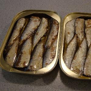 canned sardine in vegetable oil