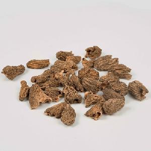 Dried Sarcodon Imbricatus mushroom