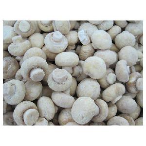 IQF Frozen Champignons / White Mushroom
