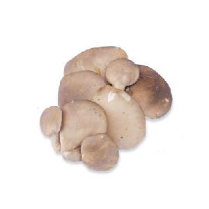 frozen fresh mushroom