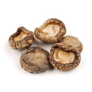 dry mushroom ---shiitake