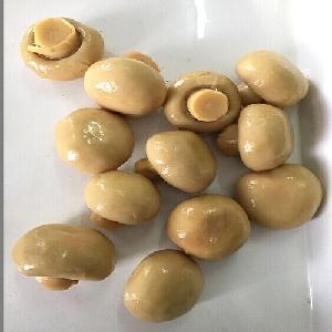 Nameko Shiitake Oyster Cut Frozen Mixed Mushrooms with Competitive Price