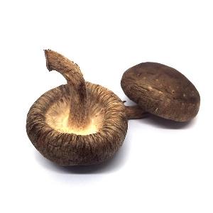  Light  brown organic bulk Dried Shiitake  Mushroom 