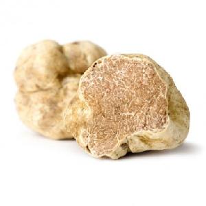 Fresh Black and White truffle