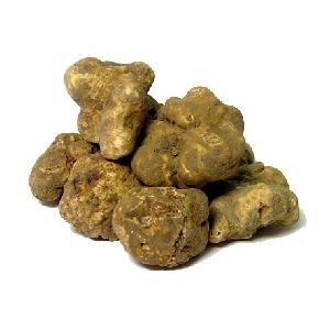 truffles mushroom price/fresh black truffle for sale