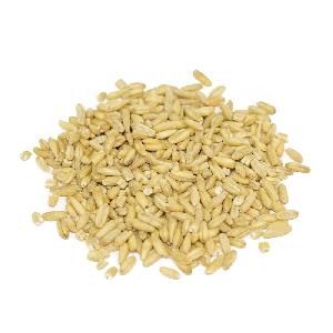 Ukrainian organic  wheat  - from 5000 tons Ukraine- Russian  -  wheat  grain
